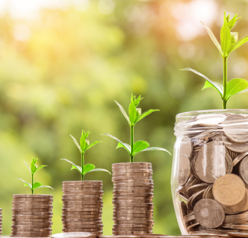 Gestión del dinero imagen planta